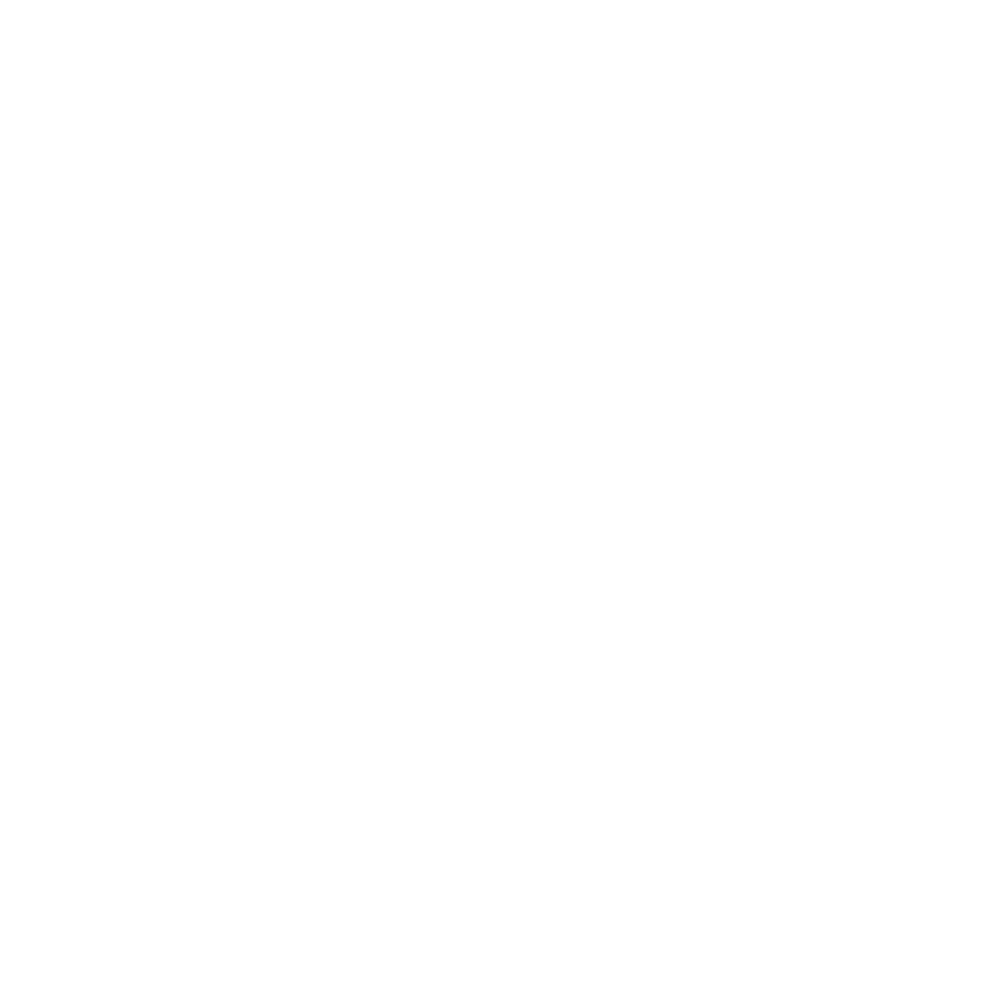 Naturica logo